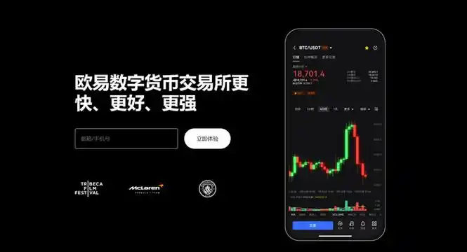 o易钱包下载页面展示